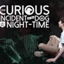 VIDEO: Watch Mickey Rowe, First Autistic Actor To Take The Lead In THE CURIOUS INCIDE