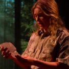 BWW Review: Hearts Ablaze in Harrison David Rivers' ONLY YOU CAN PREVENT WILDFIRES