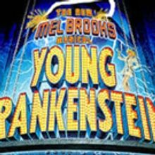 It's Alive! The Wilton Playshop to Present YOUNG FRANKENSTEIN
