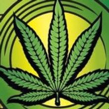 THE 14TH ANNUAL EMERALD CUP Announces Early Bird Tickets Are Now On Sale