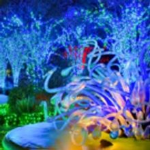 Tickets on Sale This Weekend for 'GARDEN LIGHTS' at the Botanical Garden