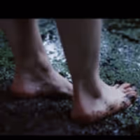 VIDEO: Watch a New Trailer for DESIRE UNDER THE ELMS at Sheffield Video