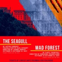 Columbia University MFA Students to Present THE SEAGULL and MAD FOREST