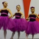 Riverside Opera Company presents A WEDDING IN SONG AND DANCE