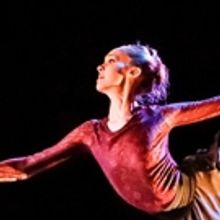 Packed Cape Town Fringe Festival Programme Awaits Mother City Audiences