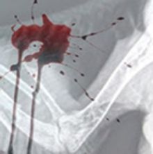 DAEDALUS' DAUGHTER Comes to Bootleg 9/21 - 9/30