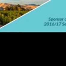 Hands Up to See Ducklings at The Court Theatre!