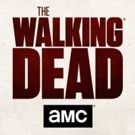 AMC Launches THE WALKING DEAD Fan Rewards Club & Subscription Box