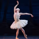 Houston Ballet Announces Updates and Performance Cancellations Due to Hurricane…