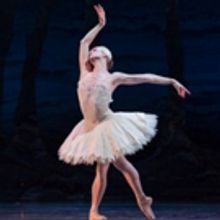 Houston Ballet Announces Updates and Performance Cancellations Due to Hurricane Harve