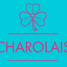 Ireland's Fishamble Returns to 59E59 Theaters with CHAROLAIS Tonight