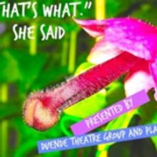 Duende Theatre Group and Playful Substance Team for 'THAT'S WHAT.' SHE SAID