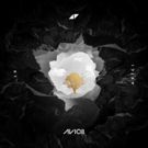 Avicii Is Back with New EP, Out Today