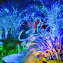 Tickets on Sale October 1st for GARDEN LIGHTS, HOLIDAY NIGHTS