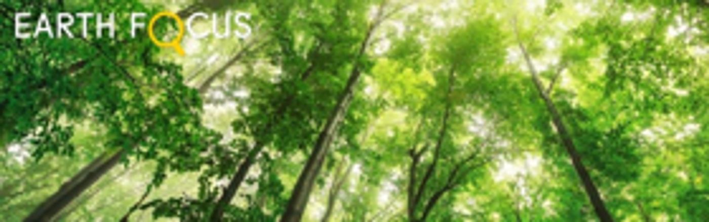 Earth Focus Environmental Film Festival Kicks Off for Free This Saturday in L.A.  Image