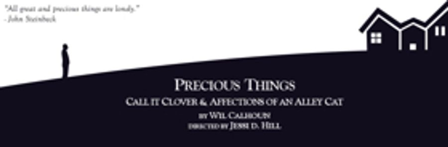 New Brooklyn Theatre's PRECIOUS THINGS Begins Tonight  Image