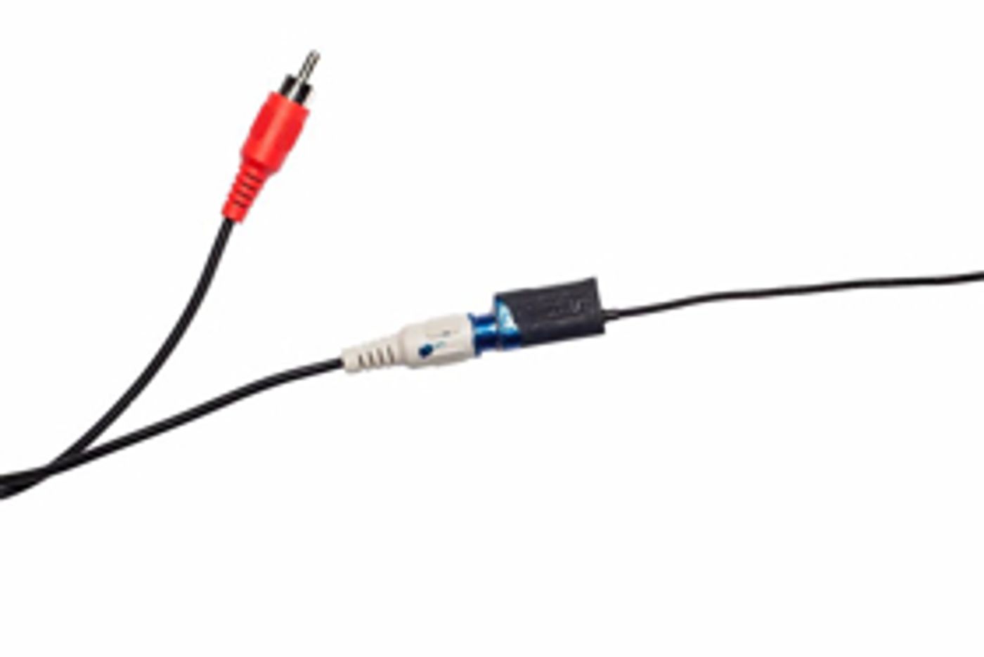 Faith Holland's SPECULATIVE FETISH Debuts at TRANSFER  Image