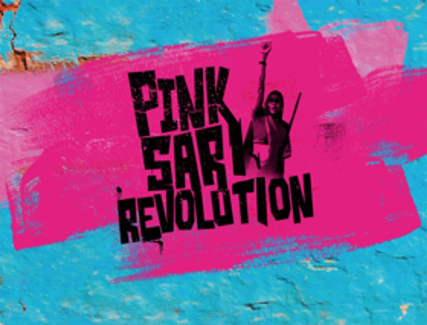Belgrade Theatre to Mark 70 Years of Partition Between India and Pakistan with PINK SARI REVOLUTION  Image