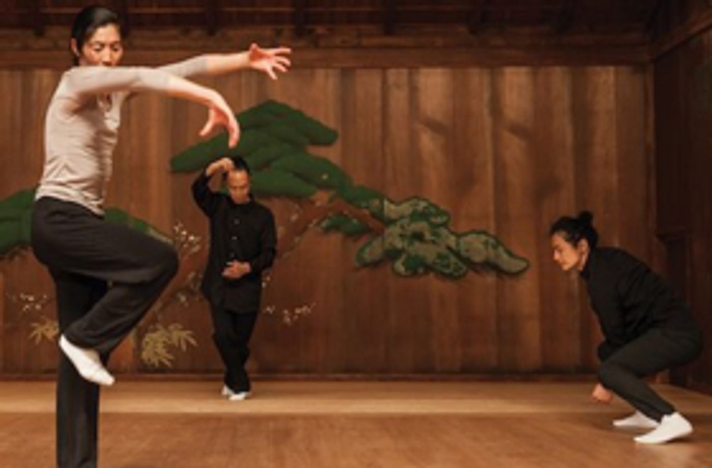 Luca Veggetti's LEFT-RIGHT-LEFT Set for Japan Society's NOH-NOW Series Luca Veggetti's LEFT-RIGHT-LEFT Set for Japan Society's NOH-NOW Series Image