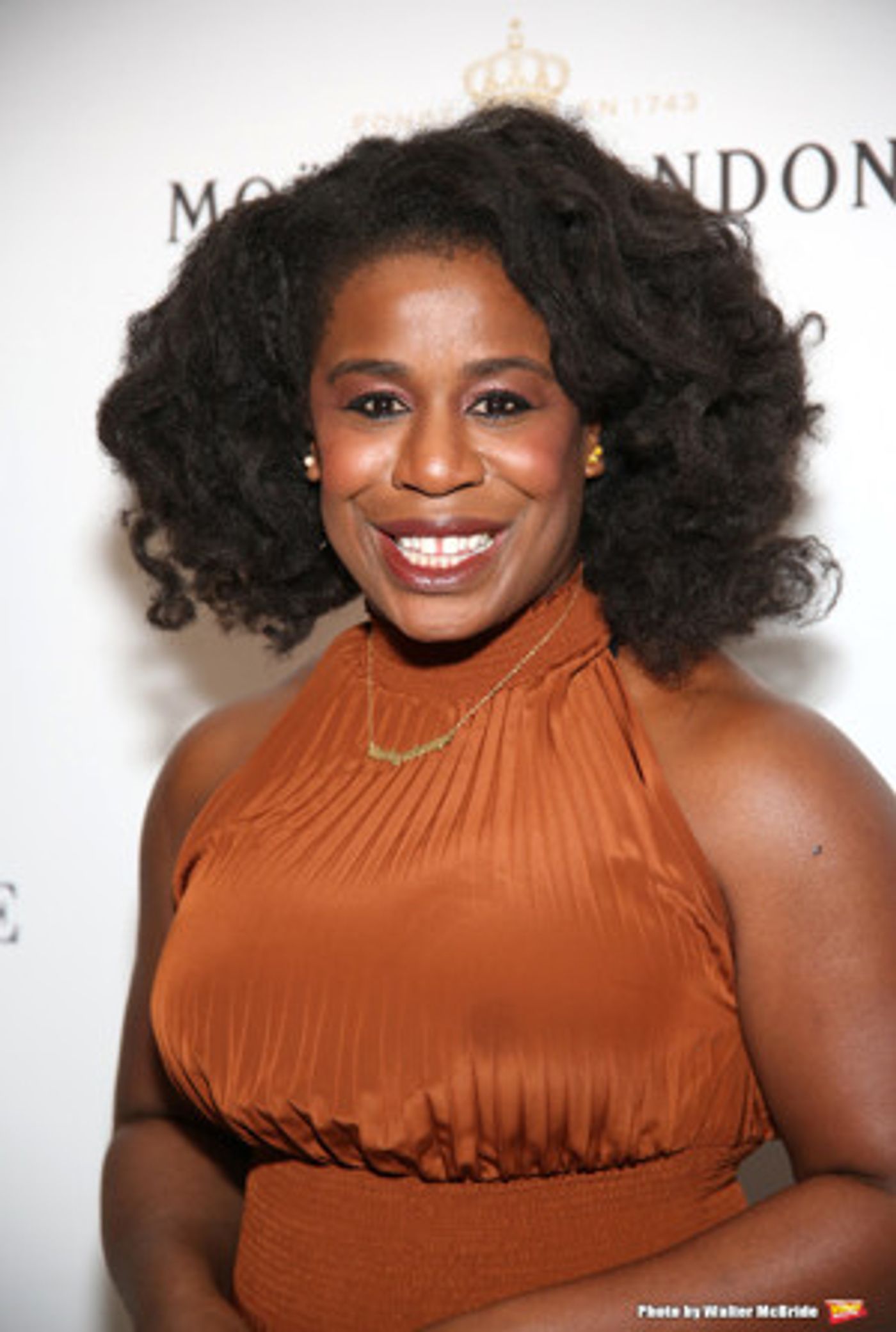 THE SECRET LIFE OF BEES Musical, Starring Uzo Aduba, Begins Workshop Run Tonight at Powerhouse  Image