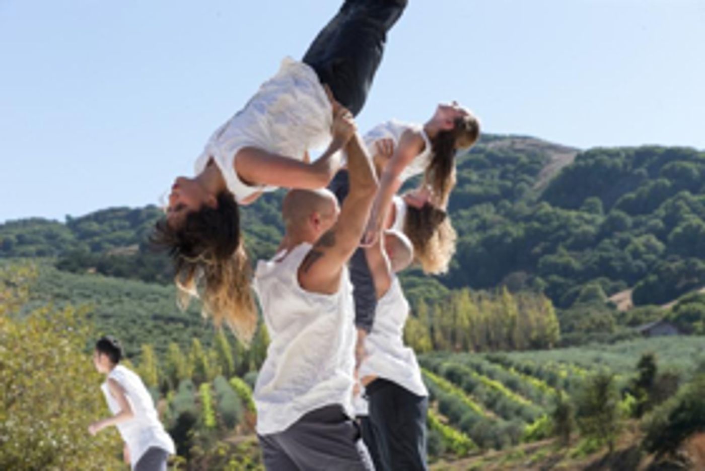 FALL FOR ART: ODC at McEvoy Ranch this October  Image