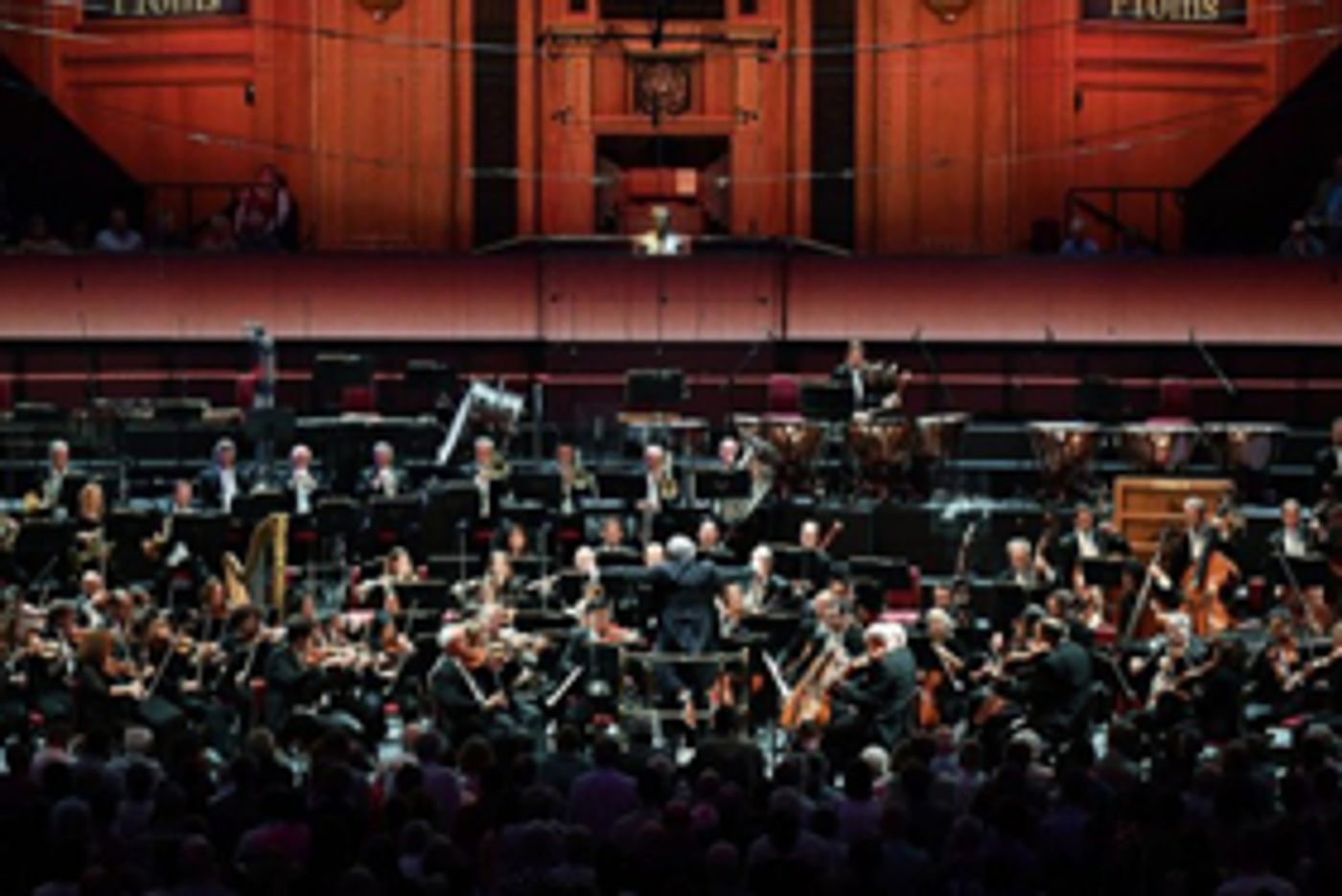 CSO Musicians To Perform Concert For Refugees In Netherlands  Image