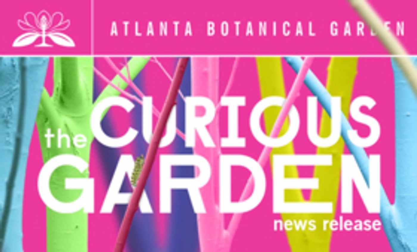 THE CURIOUS GARDEN Exhibit Brings Bold Beauty to Atlanta Botanical Garden  Image