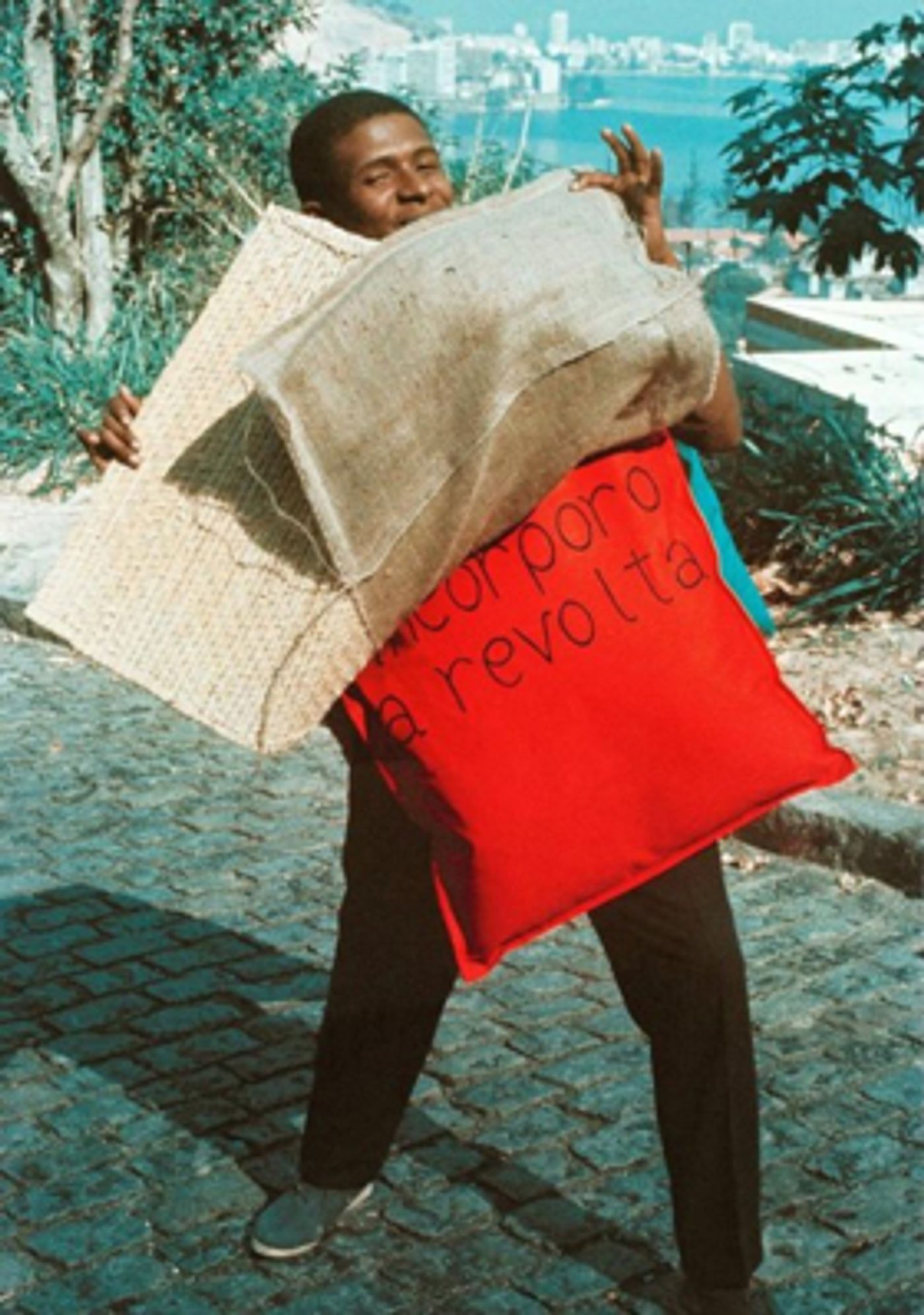 Helio Oiticica Comes to the Whitney Museum of American Art  Image