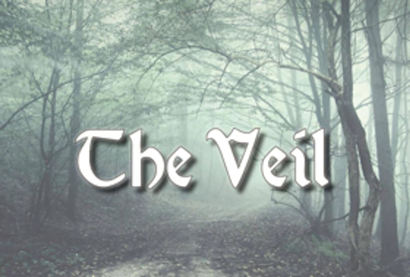 Conor McPherson's THE VEIL Opens Next Month at Town Players  Image