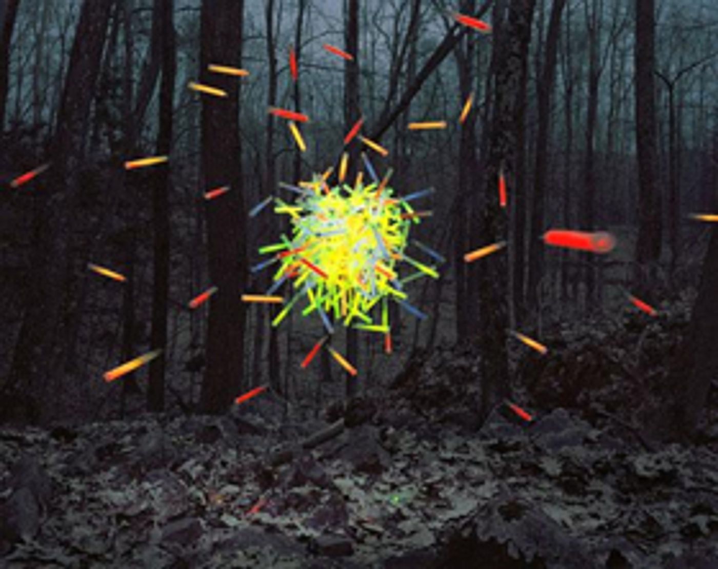 Cynthia-Reeves Announces Thomas Jackso Artist Reception  Image