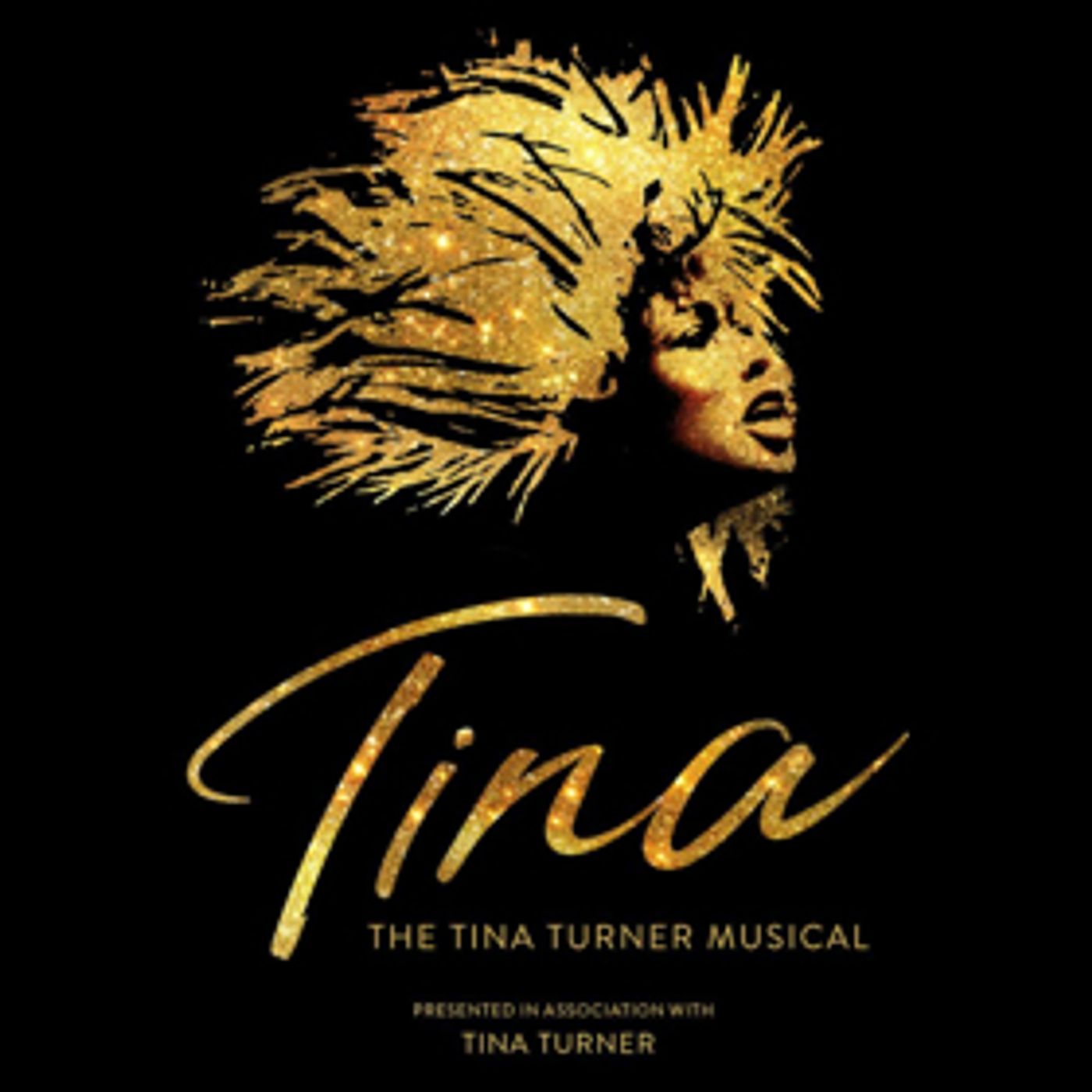 Tina Turner Musical TINA to Open in West End April 2018 at Aldwych Theatre  Image