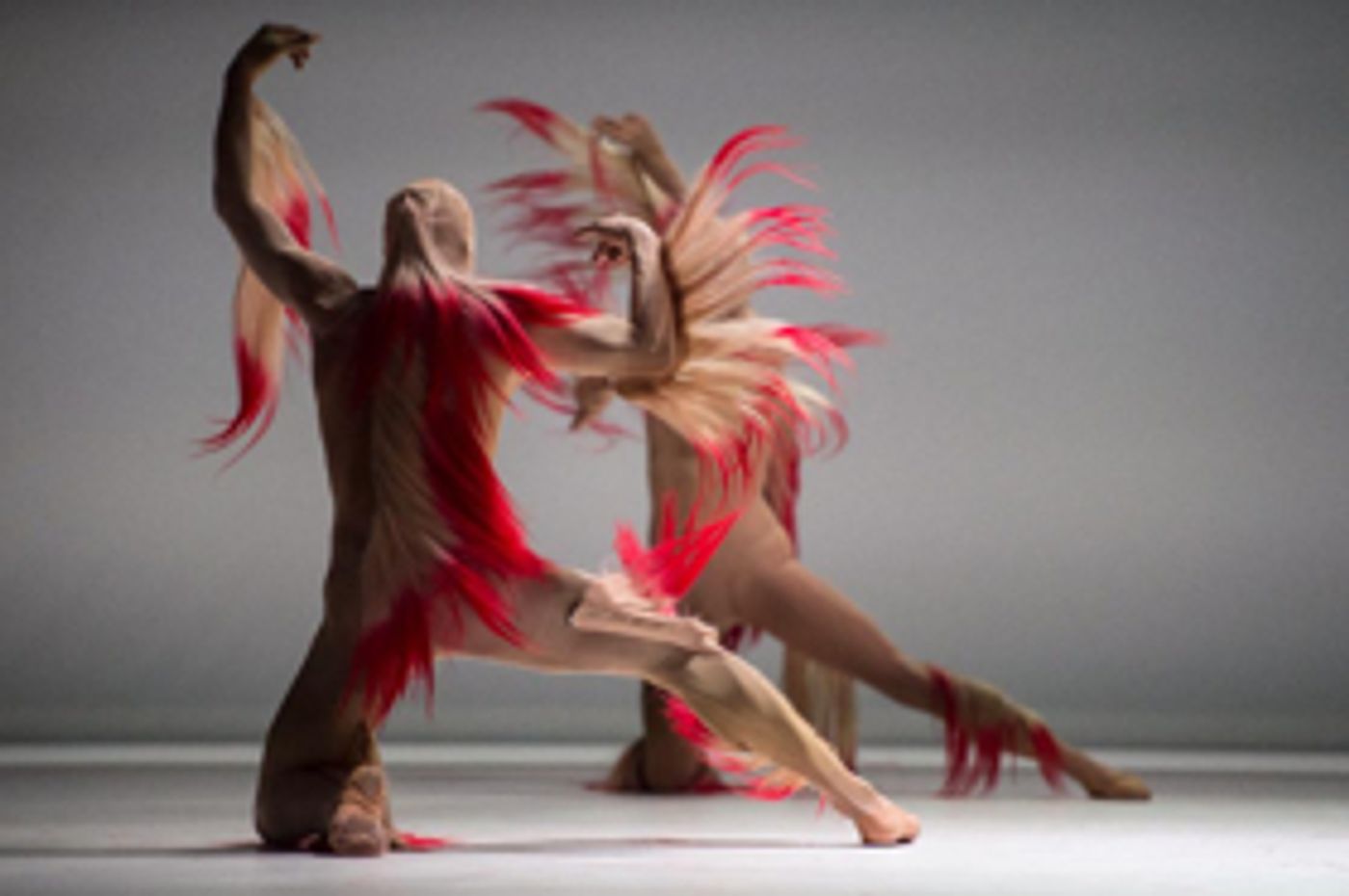 Charlie Le Mindu's First Foray Into Ballet Costume Design Breaks All Convention   Image