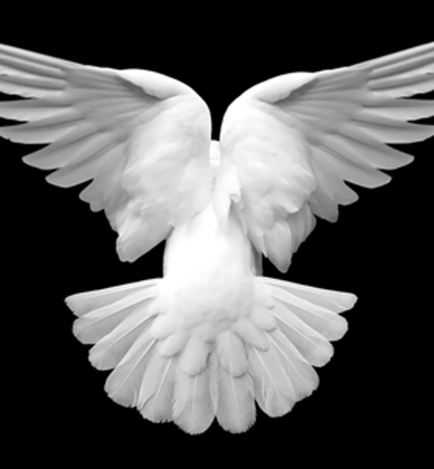 Jermyn Street Theatre Presents the World Premiere of ANYTHING THAT FLIES  Image