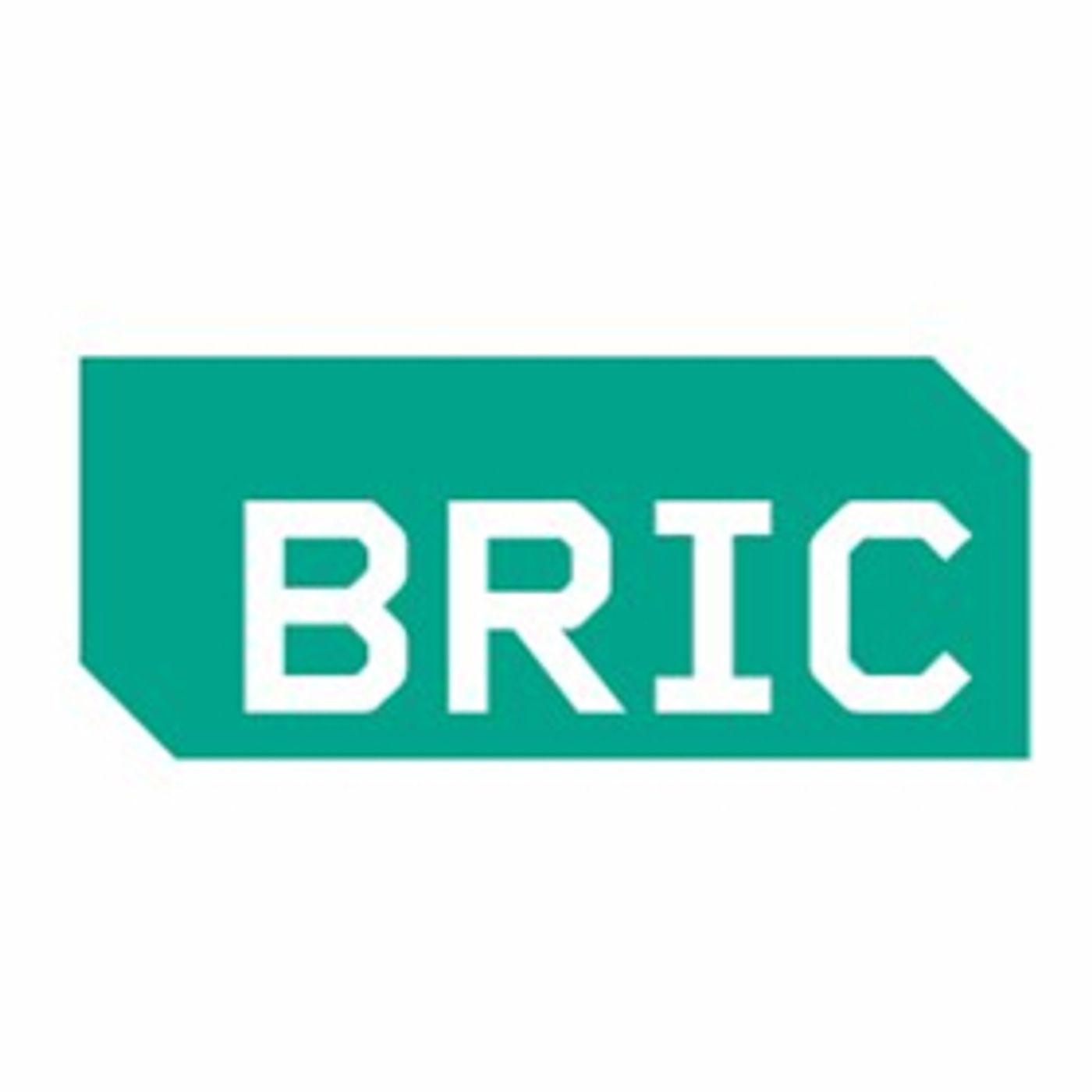 BRIC, Mark Morris Dance Group, MoCADA and TFANA to Build Diversity, Equity with New Fellowship BRIC, Mark Morris Dance Group, MoCADA and TFANA to Build Diversity, Equity with New Fellowship Image