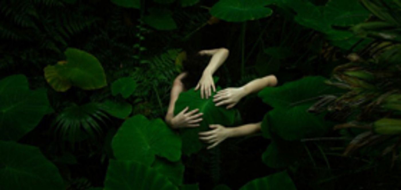 2018 Adelaide Biennial Announces Artist Lineup  Image