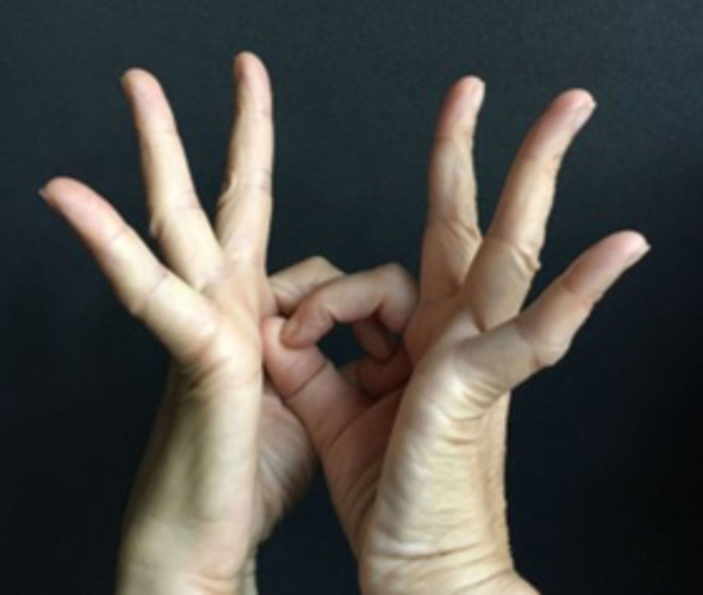 Sarah Michelson's SEPTEMBER2017/ to Make World Premiere at the Fisher Center  Image