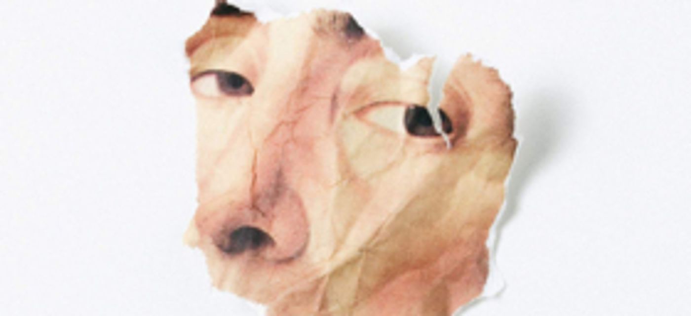 Mozart's LUCIO SILLA to Grace La Monnaie Stage This Autumn  Image