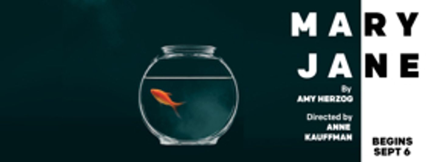 Amy Herzog's MARY JANE Extends at New York Theatre Workshop Amy Herzog's MARY JANE Extends at New York Theatre Workshop Image