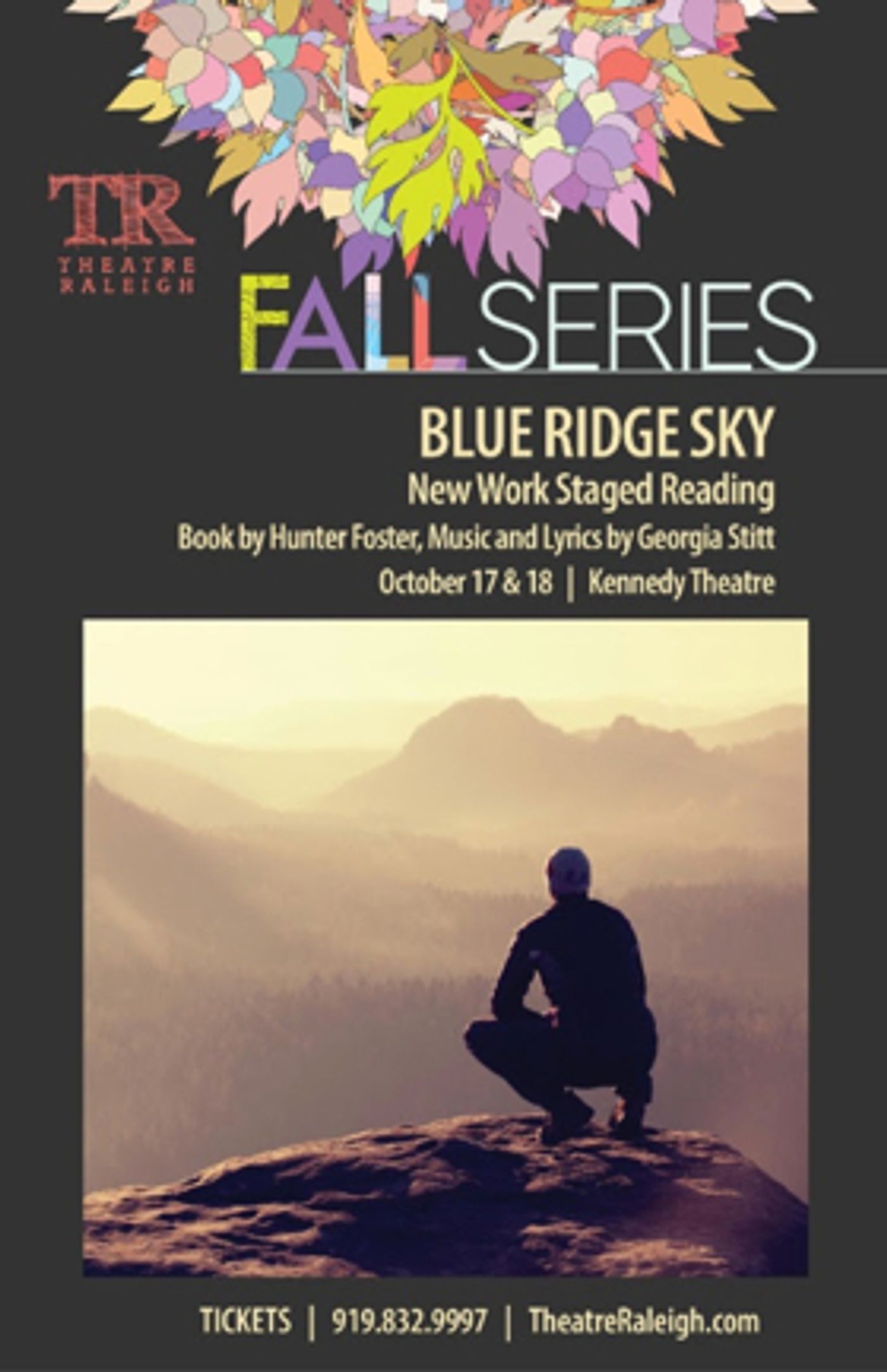 Theatre Raleigh to Stage Reading of Foster & Stitt's New Musical BLUE RIDGE SKY  Image