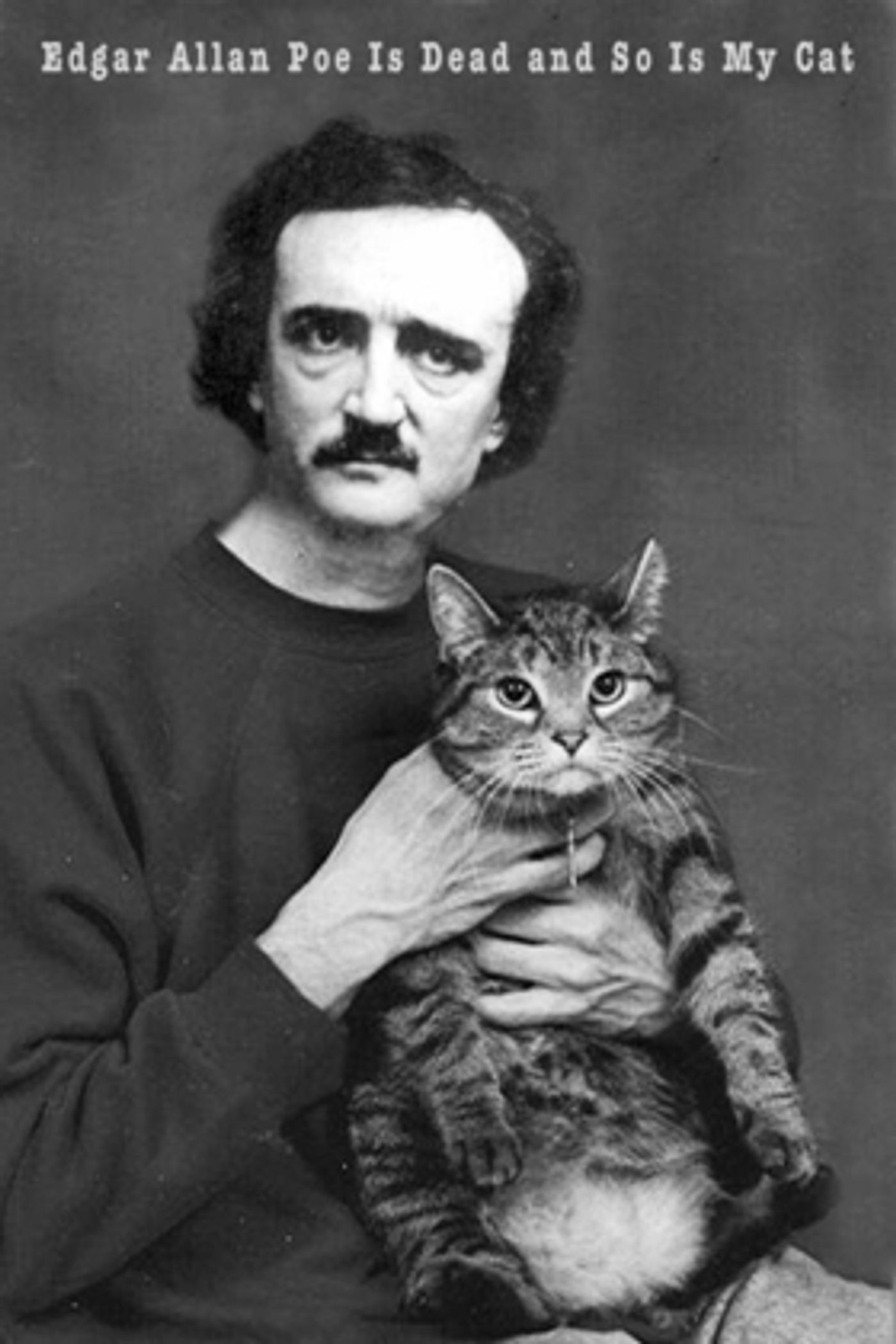 Buntport Theater to Kick Off 17th Season with EDGAR ALLAN POE IS DEAD AND SO IS MY CAT  Image