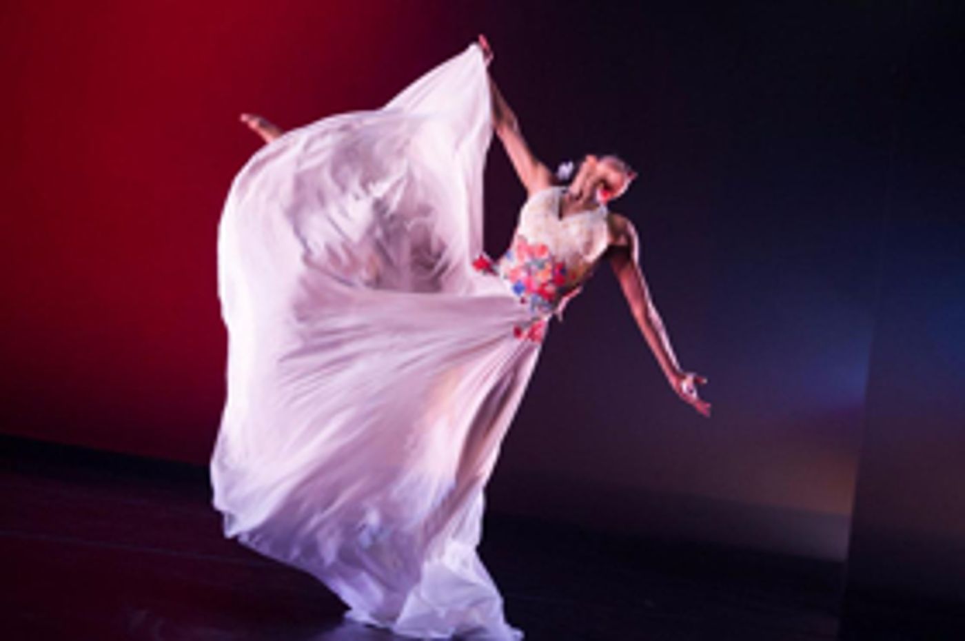 Ballet Hispanico to Launch 'Tablao' Series with Nelida Tirado  Image