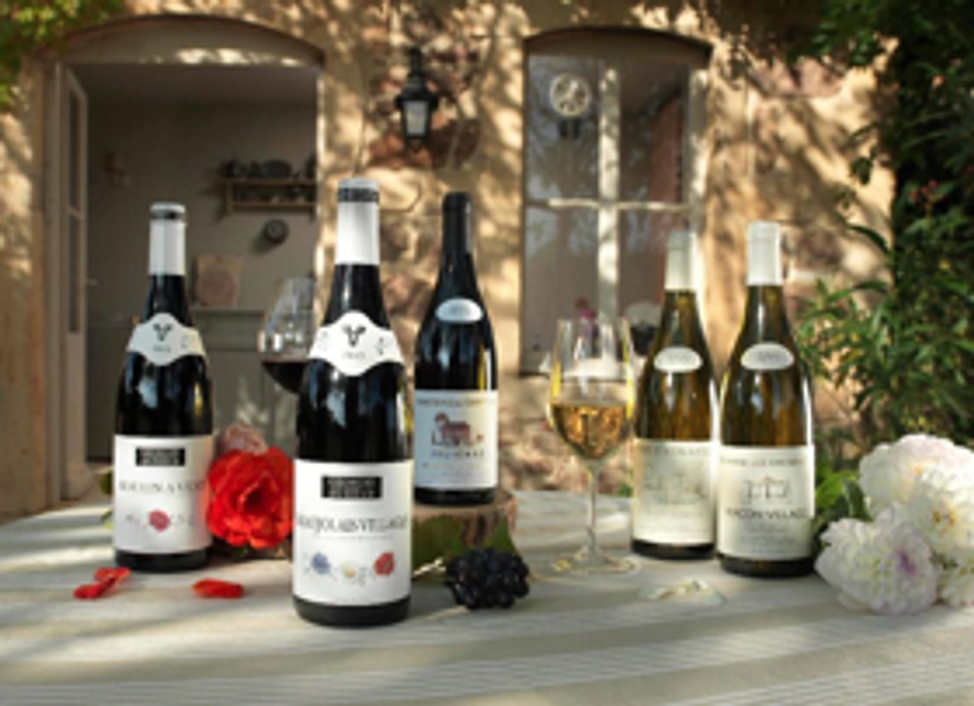 Explore the WINES OF GEORGES DUBOEUF to Pair with Favorite Foods  Image