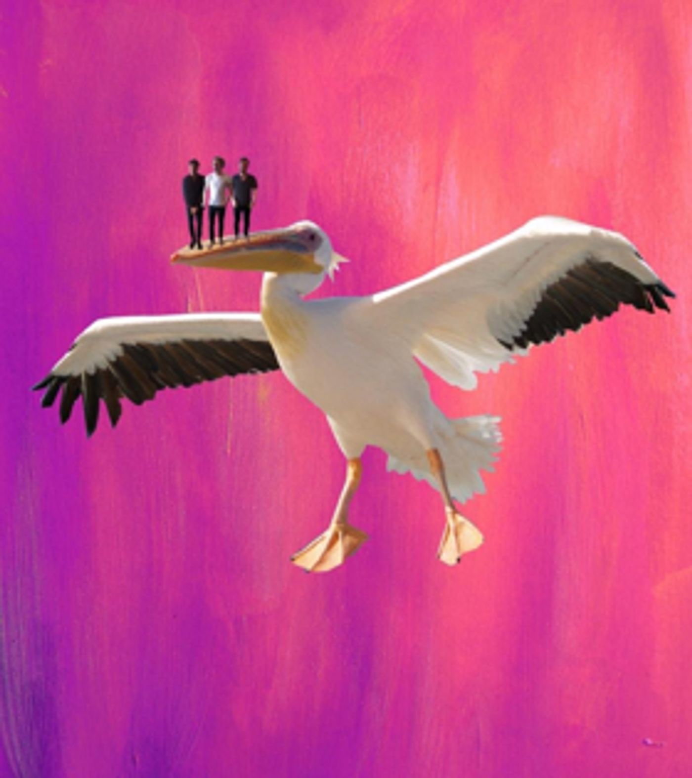 EDINBURGH 2017: BWW Q&A- The Cat Man Curse  Image