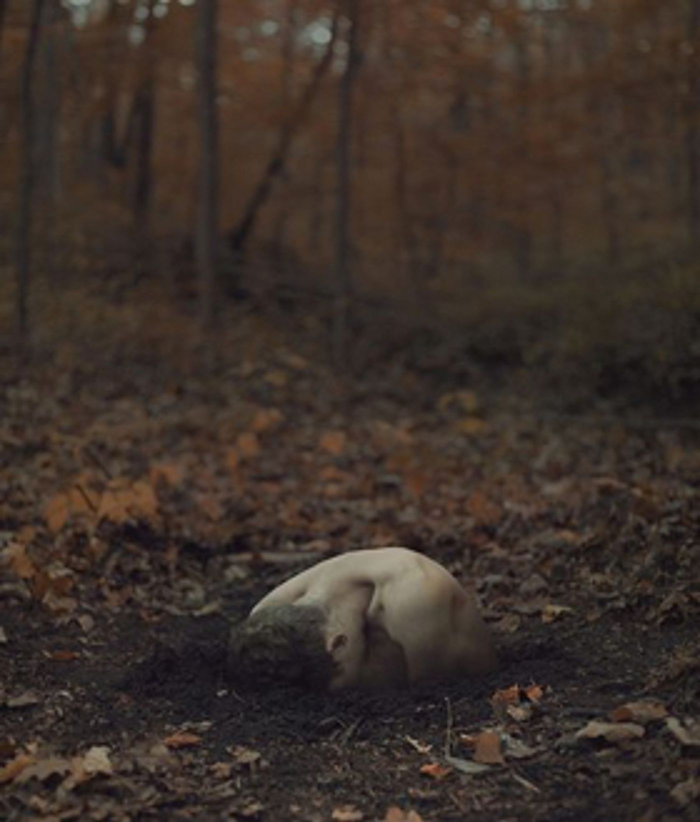 Photo credit: Kyle Thompson Photography