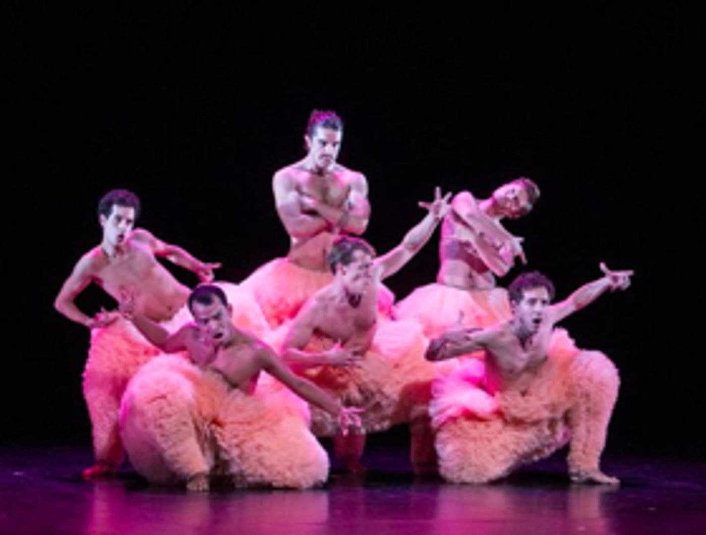 EDINBURGH 2017: Review: TUTU: DANCE IN ALL ITS GLORY, Pleasance Courtyard  Image