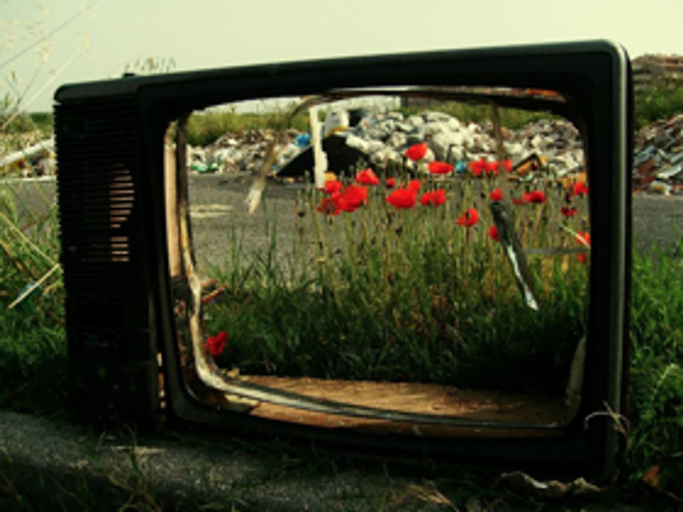 Marlowe Theatre Seeks Actors from Ashford, Birchington & Faversham for WWI Play  Image