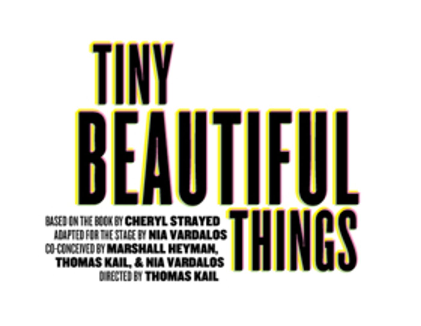 TINY BEAUTIFUL THINGS, Starring Nia Vardalos, Begins Previews at The Public Image