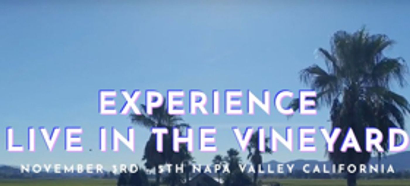 Sara Evans & More Join Line Up for Live In The Vineyard Adds Artists This November  Image