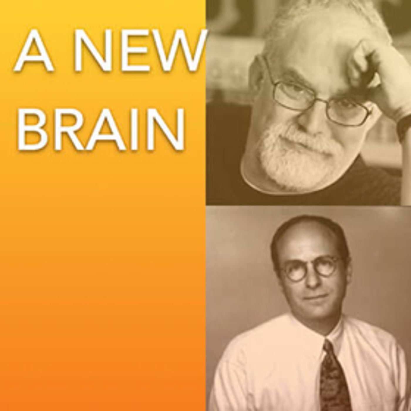Cape Rep Theatre to Present A NEW BRAIN  Image