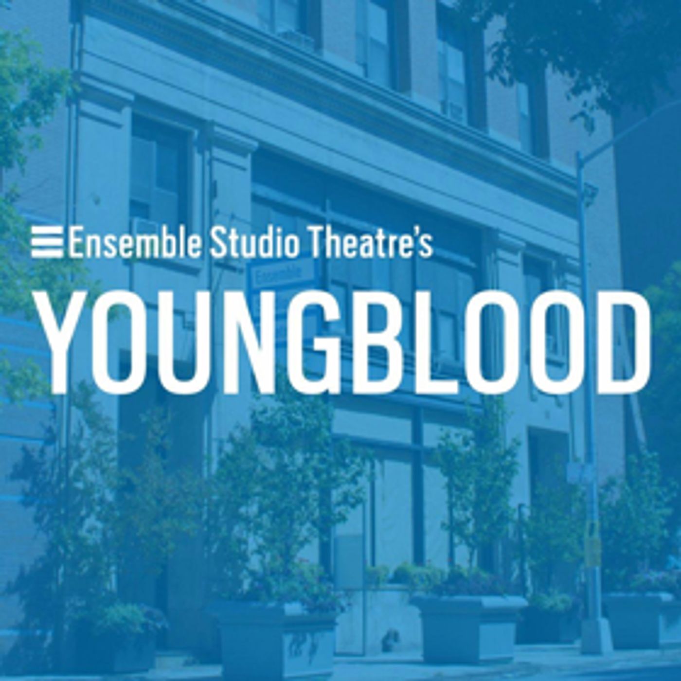 Lily Houghton and More Among Ensemble Studio Theatre's 2017-18 EST/Youngblood Members Lily Houghton and More Among Ensemble Studio Theatre's 2017-18 EST/Youngblood Members Image